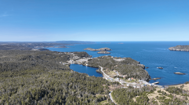 Image of Southern Shore on the Avalon